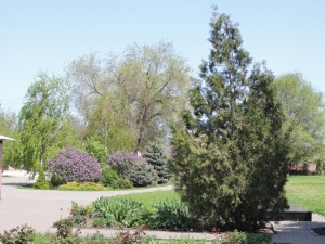 Подворье_В_(1)