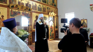 скачанные файлы